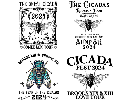 Cicada png 2024 Cicada Reunion Tour 2024 png