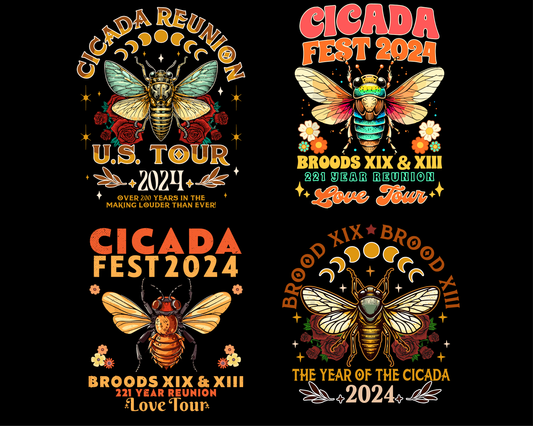 Cicada png 2024 Cicada Reunion Tour 2024 png